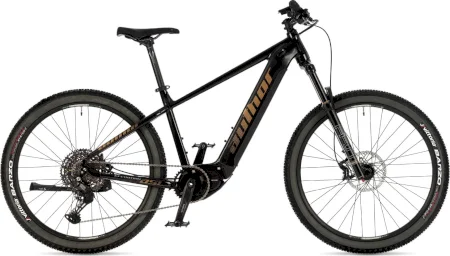 Author Elevation 27.5 Asl 2025