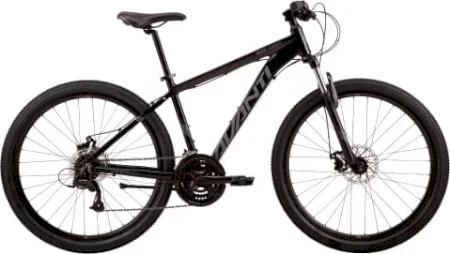Avanti Black Thunder 1 2024