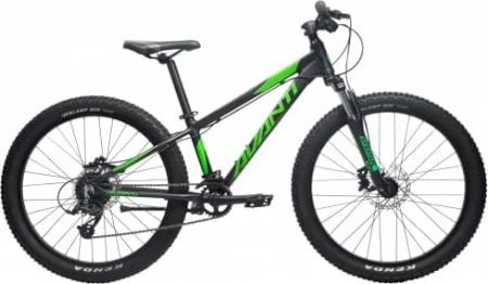 Avanti Montari Jr 2021