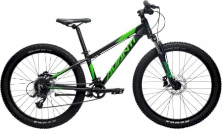 Avanti Montari Jr 2023