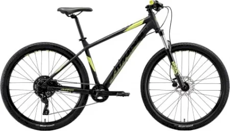 Avanti Montari Ms 1 2024