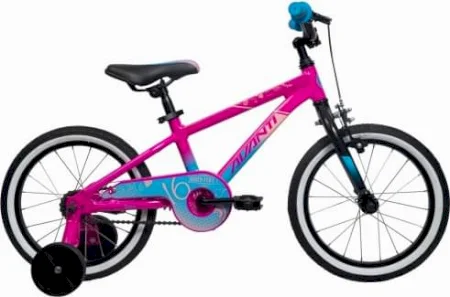 Avanti Spice 16 2023