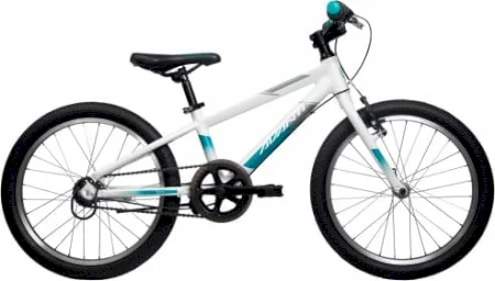 Avanti Spice 20i 2023