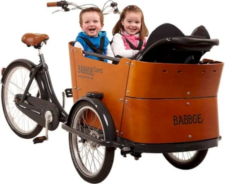 Babboe Curve 2024