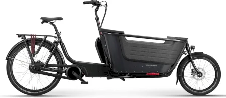 Batavus Fier 2 2024