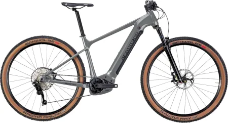 Bergstrom Xcv 749 2023