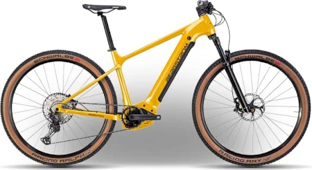 Bergstrom Xcv 769 2023