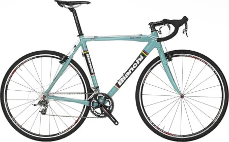 Bianchi Cavaria 2013