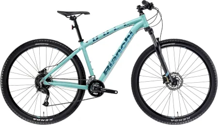 Bianchi Duel 29s Alivio 2025