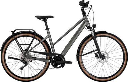 Bulls Streetliner Trapeze 2024