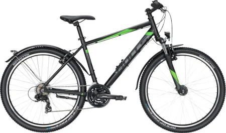 Bulls Wildtail Street 2021
