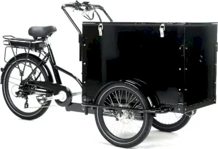 Bunchbikes The Delivery 4plus 2024