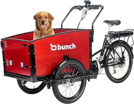Bunchbikes The K9 2022