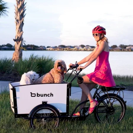 Bunchbikes The K9 3.0 2023