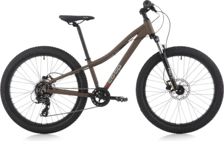 Coop Rev Drt 2021