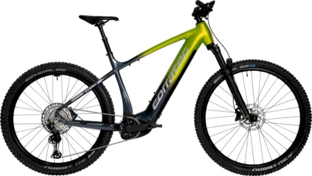 Corratec E Power X Vert Ltd Gent 2025
