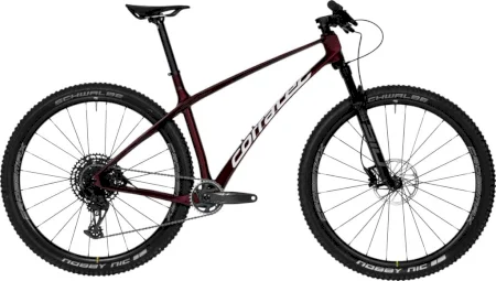 Corratec Revolution Bow Elite 2024