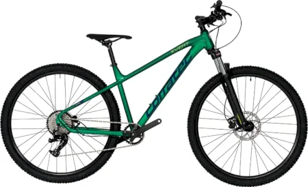 Corratec X Vert Elite 2024