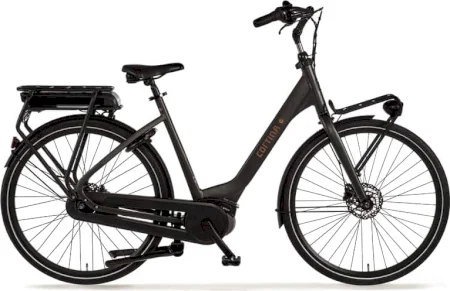 Cortina E Common Family 2023