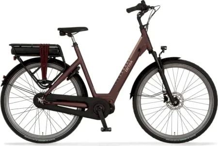 Cortina E Octa Plus Ladies 2023