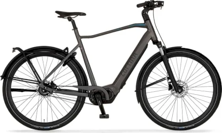 Cortina E Silento Pro Mens 2023