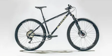 Cotic Solarismax Gold Gx Eagle 2020