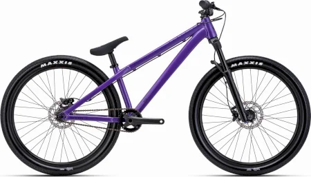 Ctm Dirtking Xpert 2025