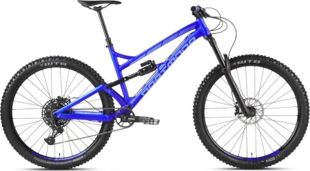 Dartmoor Blackbird Evo 29 2020