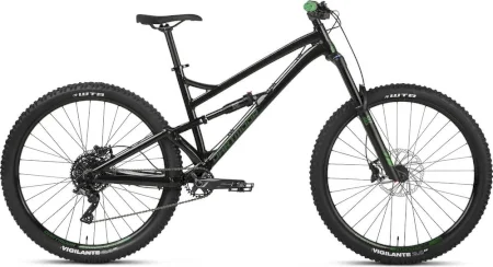 Dartmoor Blackbird Intro 29 2021