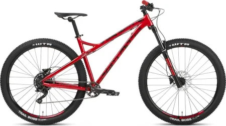 Dartmoor Primal Intro 29 2021