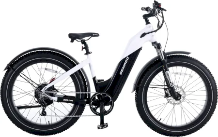 Denago Fat Tire Step Thru Ebike 2023