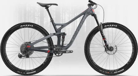 Devinci Django Carbon 29 Gx 12s 2019