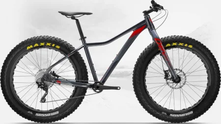 Devinci Minus Xt 2019