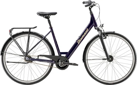 Diamant Achat 2021