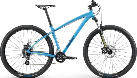 Diamondback Overdrive 29 1 2020