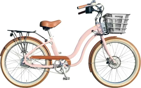 Electricbikecompany Model Y 2020