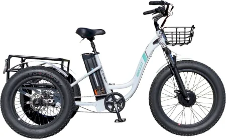Emojo Caddy Trike 2019