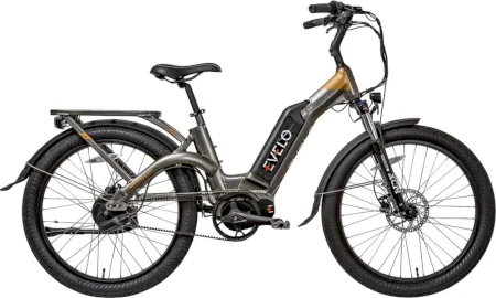 Evelo Aurora Limited 2020