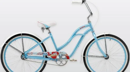 Felt Sunliner 3 Speed 2010