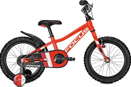 Focus Raven Rookie 16 2019