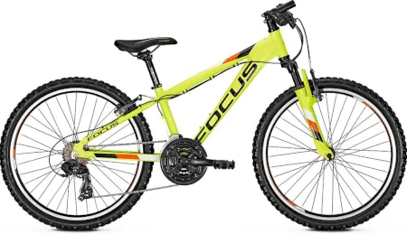 Focus Raven Rookie 24 2019