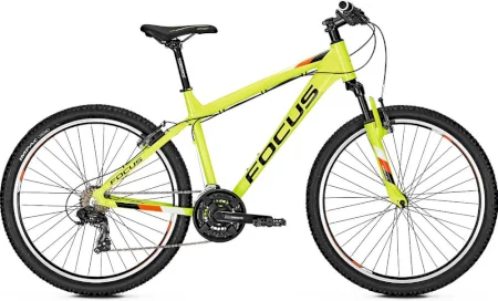 Focus Raven Rookie 26 2019