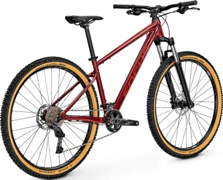 Focus Whistler 3.7 2022