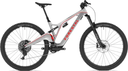 Forestal Cyon Neon 2021