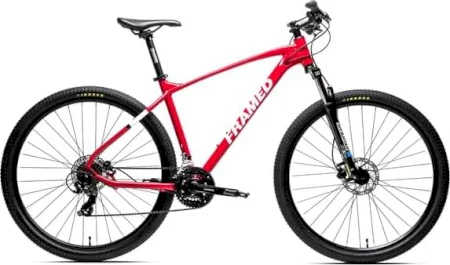 Framed Rendal Alloy Mountain 29 2021