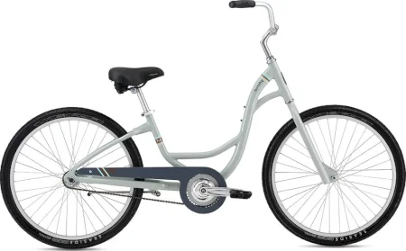 Fuji Barnebey 1 Ls 2016