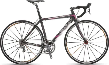 Fuji Supreme Sl 2009