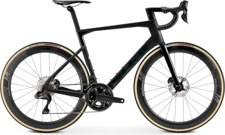 Fuji Transonic 1.3 2025