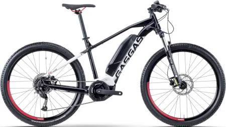 Gasgas Cross Country 4.0 2021