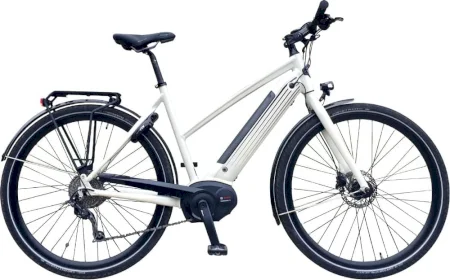 Gazelle Cityzen T9 Hmb 2019